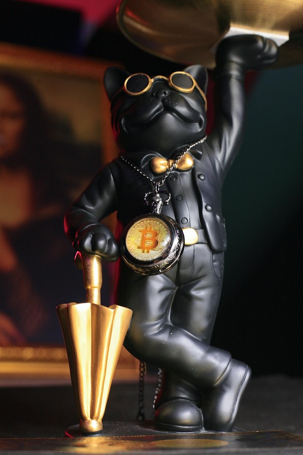Bitcoin coin resting beside educational cryptocurrency charts